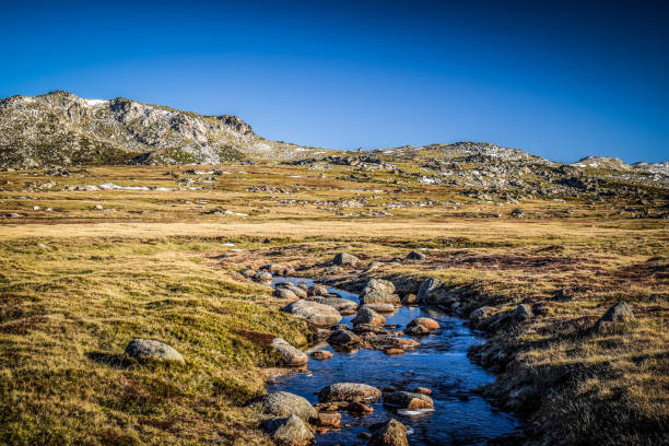 istock Kosciuszko National Park in Australia 1215095071