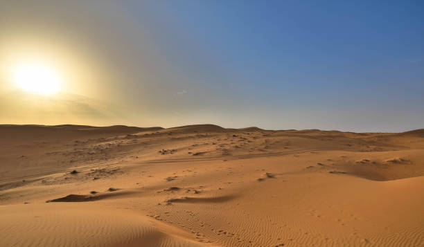 istock Desert landscape sand dunes at sunset sky 1215096758