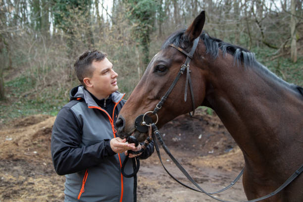 istock Young man stroking horses at the farm 1215098474