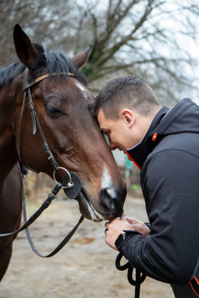istock Young man stroking horses at the farm 1215098597