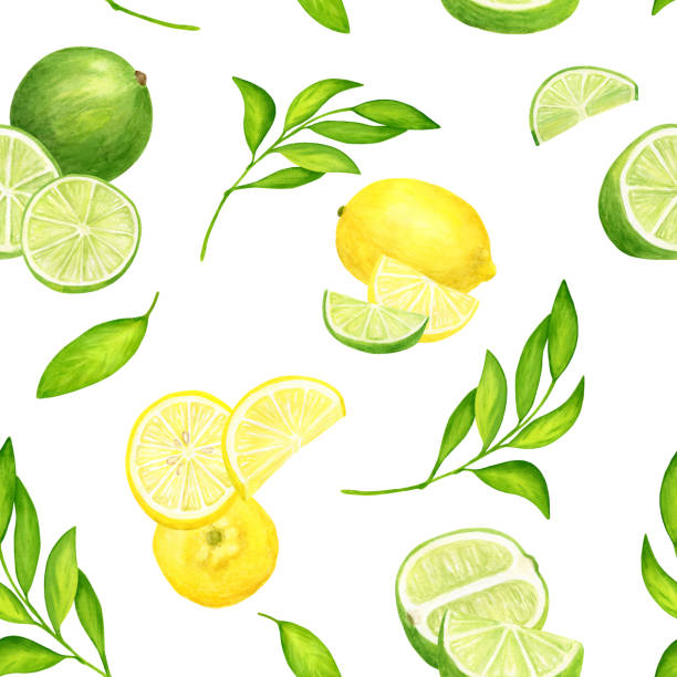 illustrations, cliparts, dessins animés et icônes de lime d’aquarelle et citron avec des feuilles sans couture. illustration fraîche peinte d’agrumes vert et jaune de coeur de main - lemon portion citrus fruit juice