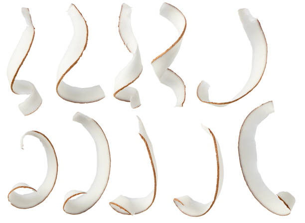 istock Coconut fruit spiral curl slices set isolated on white background 1215106583