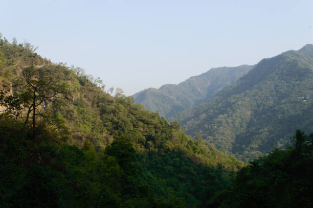 widok na góry, błękitne niebo, zieleń, piękno natury słynnego wodospadu neer, rishikesh, uttarakhand, indie. - waterfall water nature zen like zdjęcia i obrazy z banku zdjęć