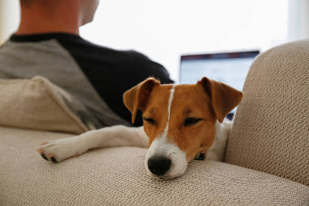 istock Conceptual image of man working remotely from home. 1215107520