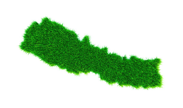 grass map of nepal, isolated on white - 2843 imagens e fotografias de stock