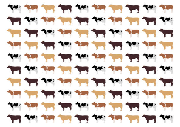 Vector illustration of cattle. Ox, cow, bull. Background pattern. Vector illustration of cattle. Ox, cow, bull. Background pattern. cow clipart stock illustrations