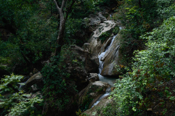 mały wodospad pod słynnym wodospadem neer garh, rishikesh, uttarakhand india. - stone zen like buddhism balance zdjęcia i obrazy z banku zdjęć