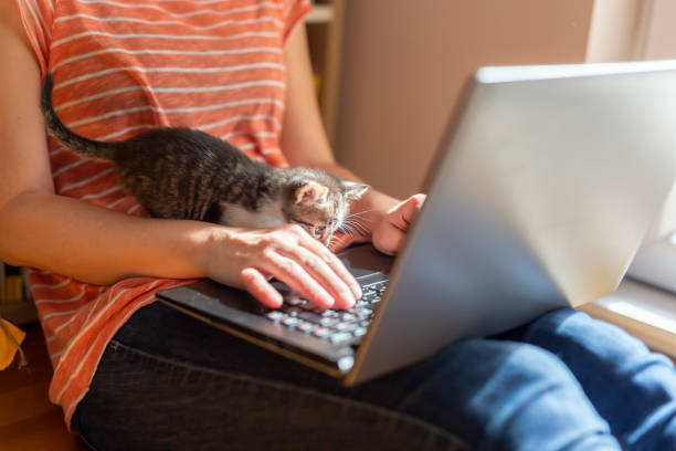 istock Woman and kitten working remotely from home 1215117600