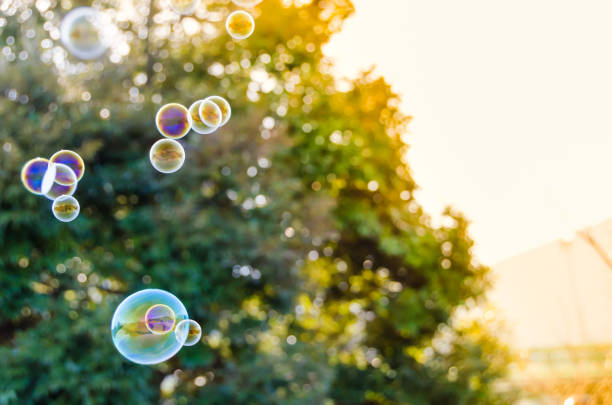 istock Soap bubbles floating against green trees 1215117665