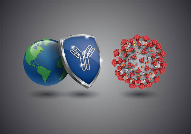 Coronavirus - antibody protects world Antibodies protect humans from coronavirus infection covid politics stock illustrations
