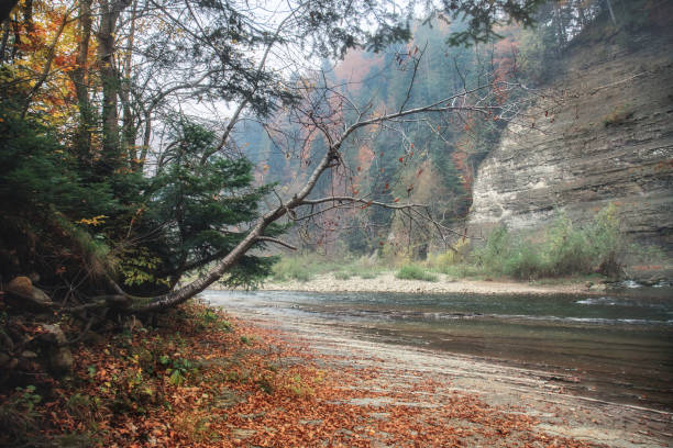 istock Mountain river in autumn time. Rocky shore. 1215120815