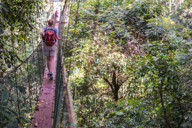 istock Senior woman on Tree Top Canopy Walkway in Borneo 1215121543