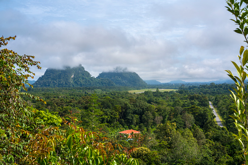 View of Borneo landscape from Mulu near Gunung Mulu National Park, Malaysia