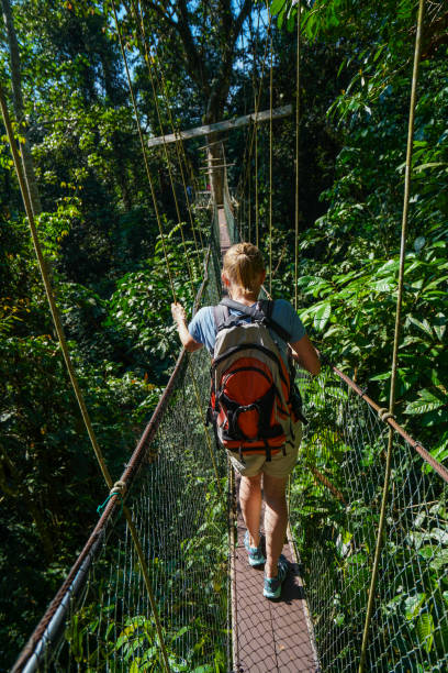 istock Senior woman on Tree Top Canopy Walkway in Borneo 1215123698