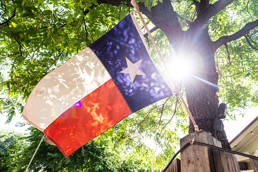 This is a color photograph of the sun shining through a tree behind the Texas State Flag on Rainey Street in downtown Austin, Texas.