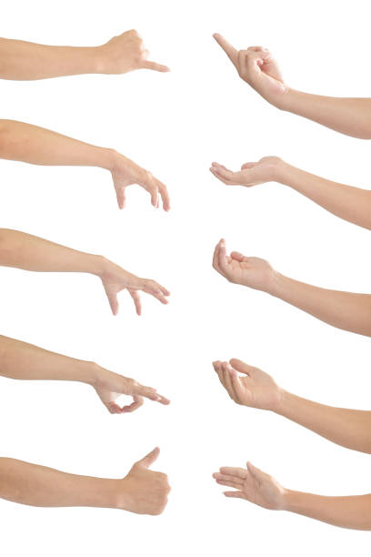 istock Collection of human hands in multiple gesture isolated on white background with clipping path. 1215126381