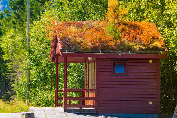 istock Public toilet with grass roof 1215129441