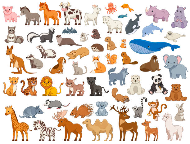 Illustrated series of various land and sea animals Illustrated series of various land and sea animals in colour. Vector Illustration lion feline stock illustrations