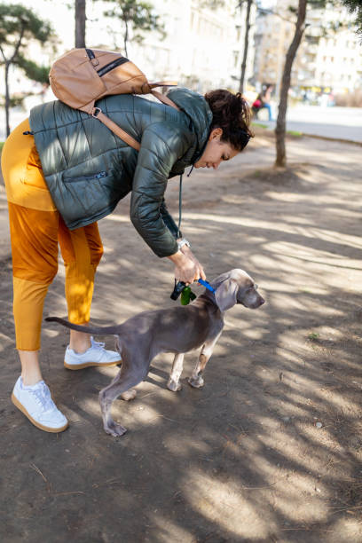 istock Taking the leash off of her dog in an empty park 1215135294