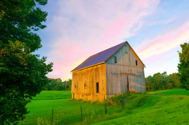 istock Old Weathered Barn in early morning-Howard County In 1215135312