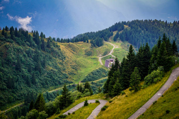 il percorso stradale del monte zoncolan - giro ditalia foto e immagini stock