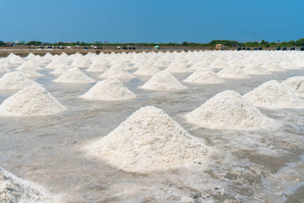 istock Sea Salt evaporation at Thailand. 1215139828
