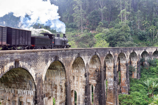 istock Steam train on the Nine Arches Demodara Bridge 1215139843