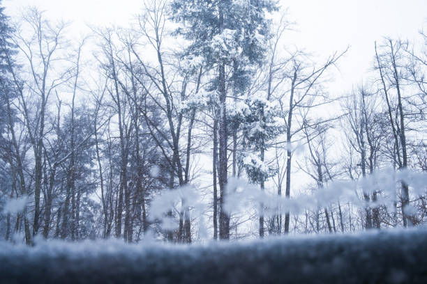 Winter frosty snow-white snowflakes falling, view throough the transparent window glass, trees in background
