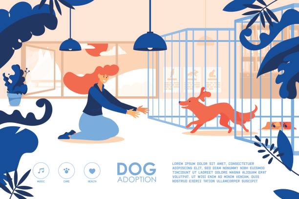 Banner for the site with young girl adopting a dog at shelter. Good landing page for pets home. Banner for the site with young girl adopting a dog at shelter. Good landing page for pets home. animal shelter stock illustrations