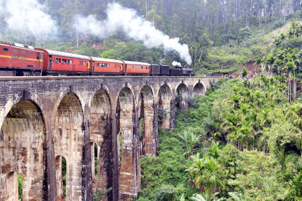 istock Steam train on the Nine Arches Demodara Bridge 1215144755