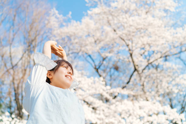 A young woman is stretching her arms in air under a sakura tree.