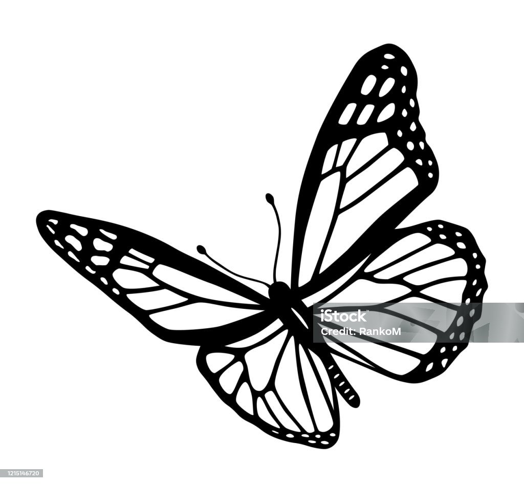 Butterfly Black And White Tribal Tattoo Cut Out Silhouette Stock  Illustration - Download Image Now - iStock