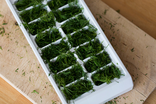 Extreme close up of filled freezer tray with fresh green dill on wooden chopping board
