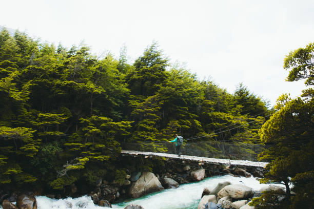 woman backpacker crossing the river by suspension bridge in the mountains of patagonia, chile - tree patagonia autumn green imagens e fotografias de stock