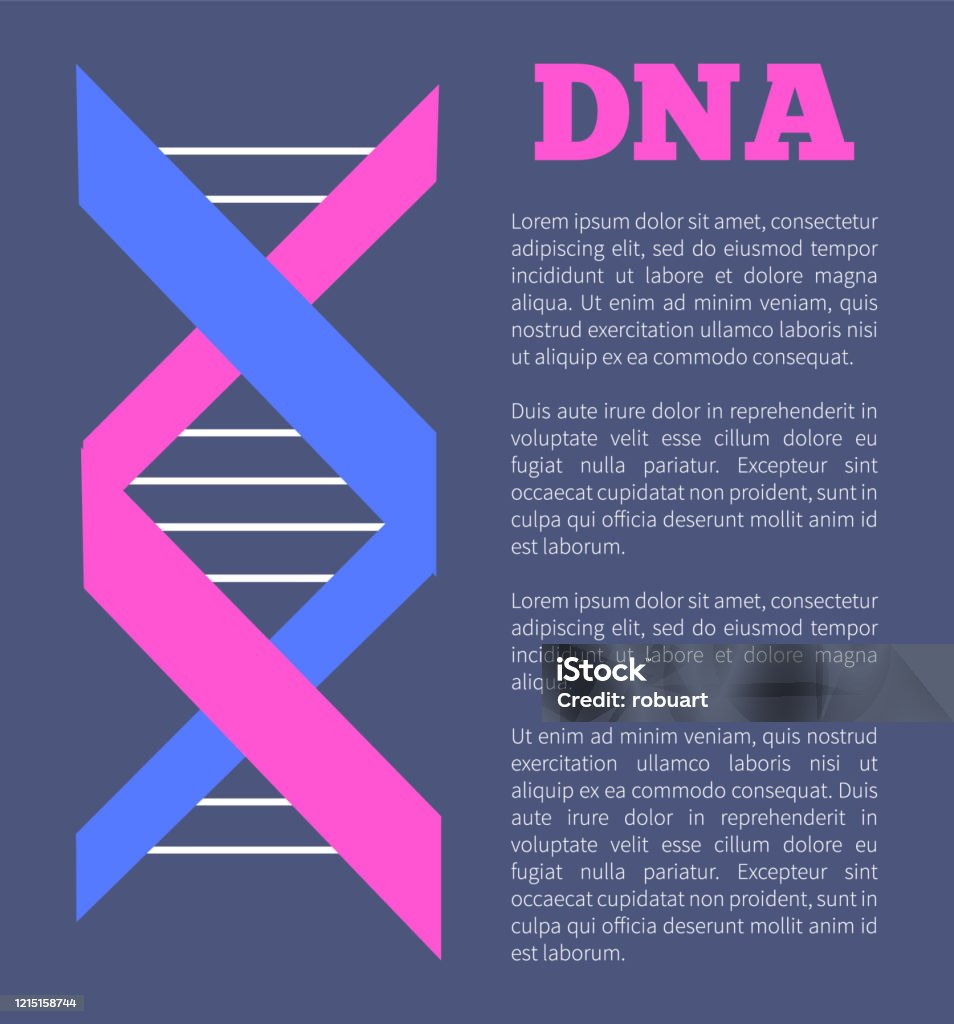 Dna Deoxyribonucleic Acid Chain Nucleotides Poster Hình minh họa ...