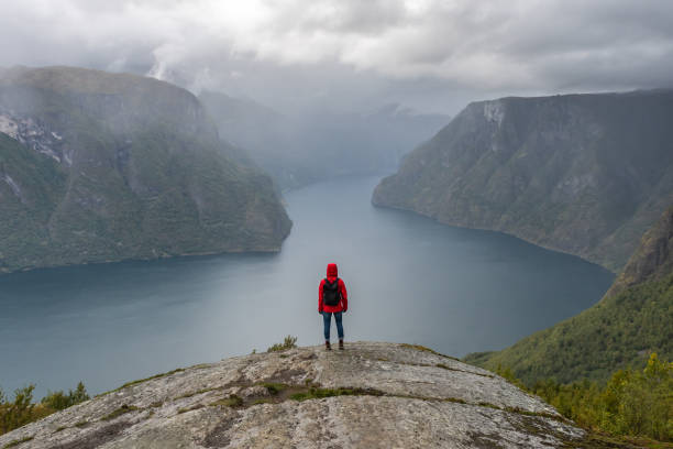 frau mit blick auf fjord und gebirge. - sogn og fjordane county stock-fotos und bilder