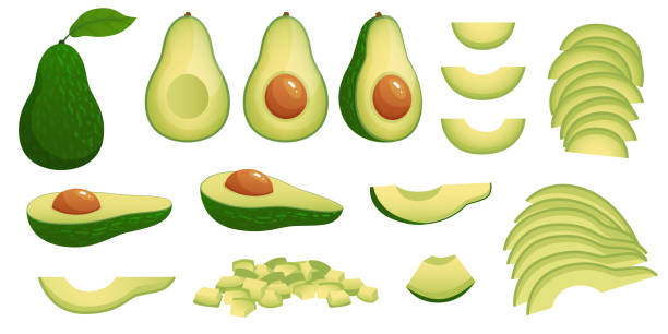 ilustraciones, imágenes clip art, dibujos animados e iconos de stock de aguacate de dibujos animados. frutas de aguacate maduras, alimentos naturales nutritivos saludables y rebanadas de aguacate conjunto de ilustraciones vectoriales - aguacate