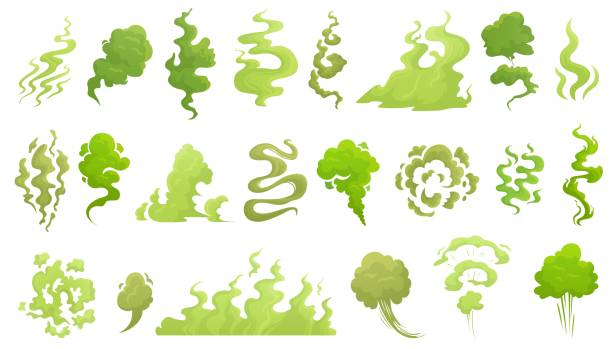 ilustrações, clipart, desenhos animados e ícones de cheirando fumaça. nuvem de mau cheiro, aroma de fedor verde e conjunto de ilustrartion vetores de queijo de fumaça fedorenta - odor desagradável