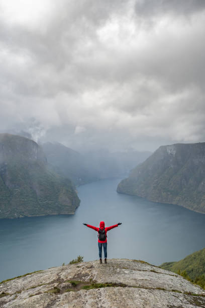 istock Woman looking at fjord and mountain range. 1215160189