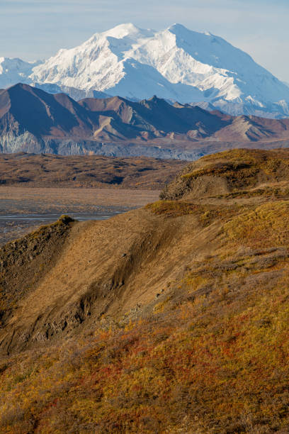 istock Scenic Denali National Park in Auutmn 1215160240
