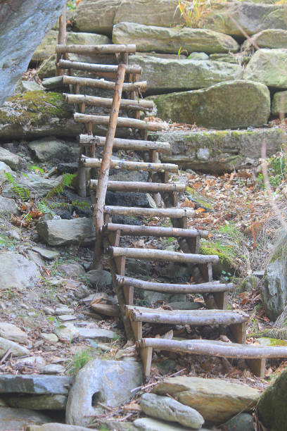 istock wooden ladder in mountain among rocks 1215161186