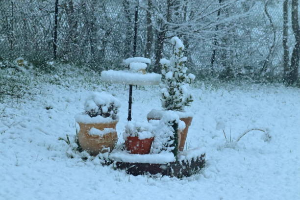 istock A snowy  spring day in the Italian mountains. 1215162917