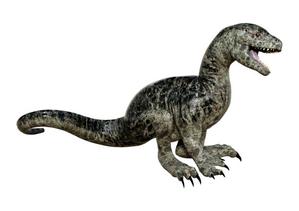 istock 3Dillustration dinosaur Tyrannosaurus hatchling on white 1215167091