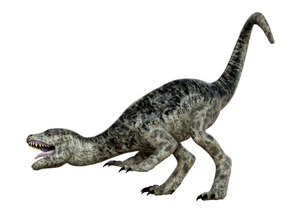 istock 3Dillustration dinosaur Tyrannosaurus hatchling on white 1215167092