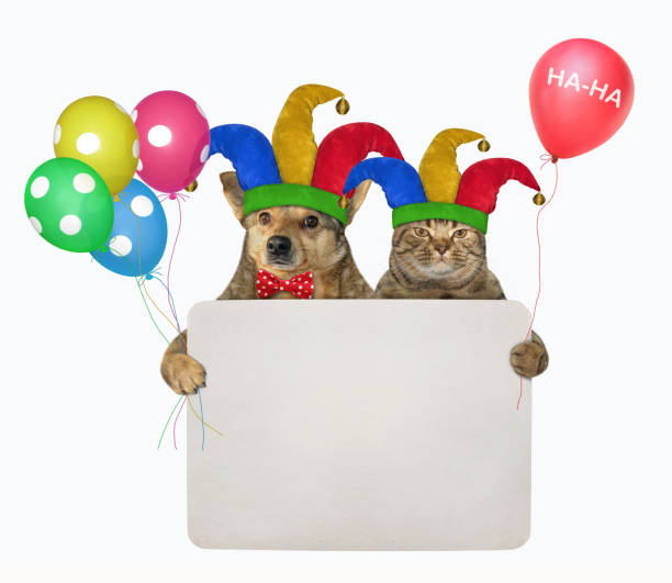istock Dog with cat with blank sign 1215168044