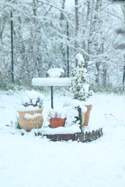 istock A snowy  spring day in the Italian mountains. 1215168217