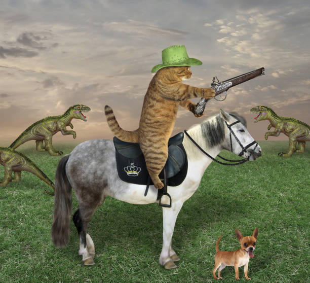 istock Cat on gray horse grazes dinosaurs 1215168487