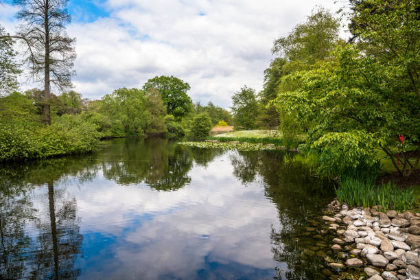 Pond surrounded by lush vegetation under partly cloudy sky on a spring day. London, UK.