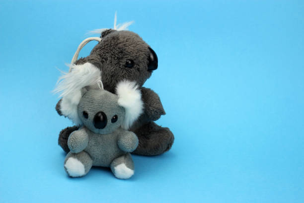 giocattoli morbidi koala su sfondo blu - koala stuffed animal australia souvenir foto e immagini stock