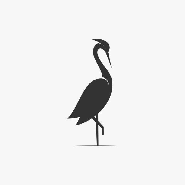 Vector Illustration Flamingo Silhouette Style. Vector Illustration Flamingo Silhouette Style. crane bird stock illustrations